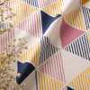 pic 3 Prism